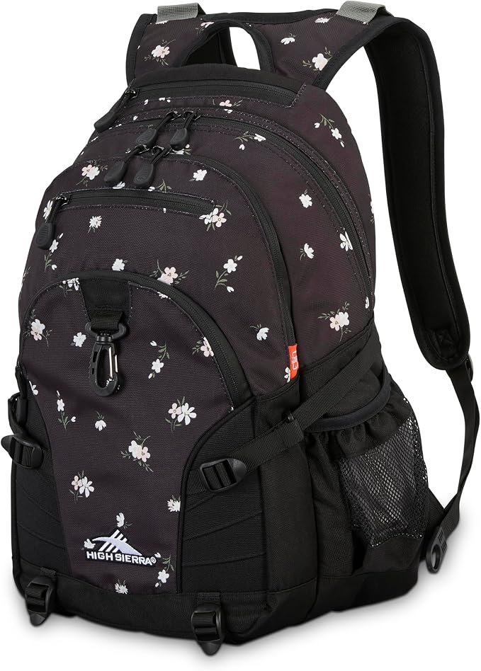 High Sierra Loop-Backpack, or Work Bookbag