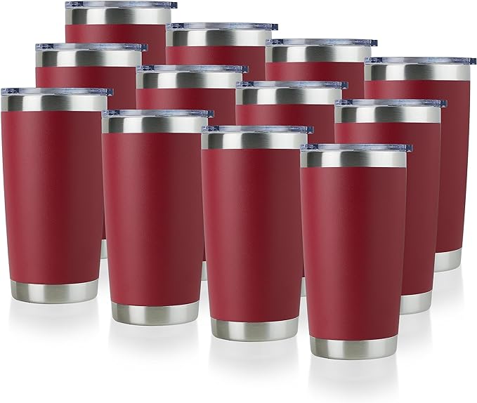DOMICARE 20oz Stainless Steel Tumbler Bulk