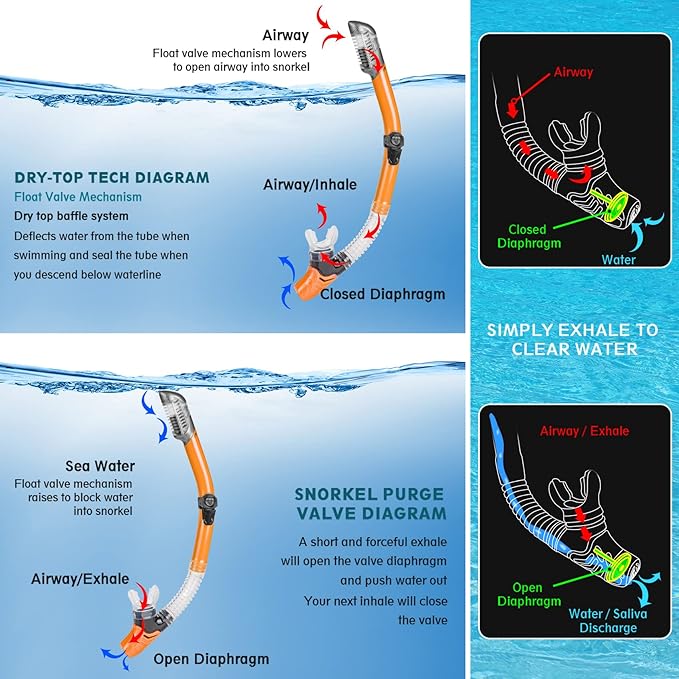 ZEEPORTE Mask Fin Snorkel Set, Travel Size Snorkeling Gear for Adults with Panoramic View Anti-Fog Mask, Trek Fins, Dry Top Snorkel and Gear Bag for Swimming Training, Snorkeling Kit Diving Packages