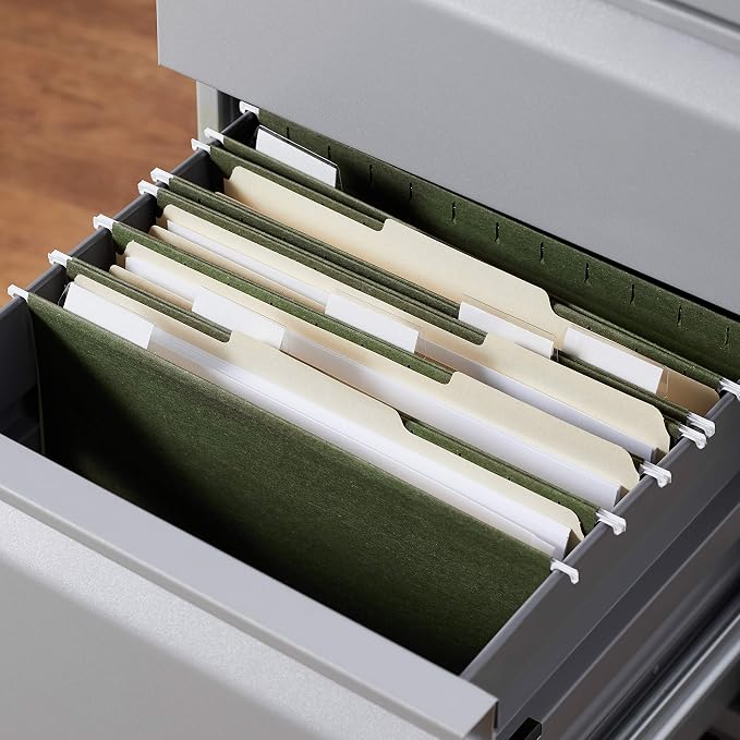 Amazon Basics Hanging Organizer File Folders