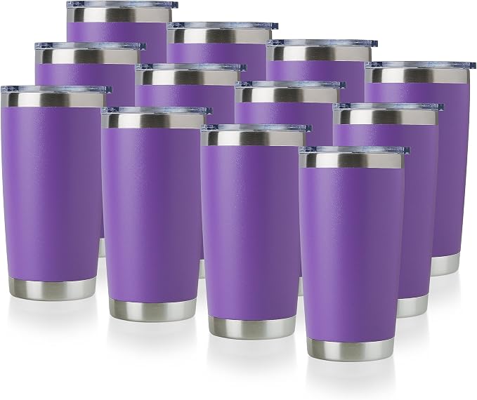 DOMICARE 20oz Stainless Steel Tumbler Bulk